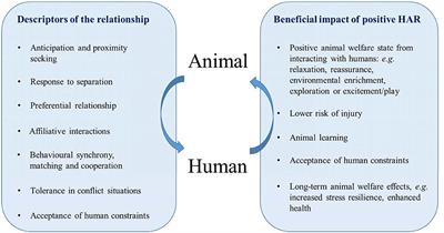 conclusion for animal rights paper